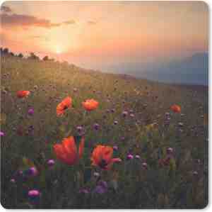 Foto: Muismat klein   bloemenveld   gras   bloemen   planten   zonsondergang   oranje   20x20 cm