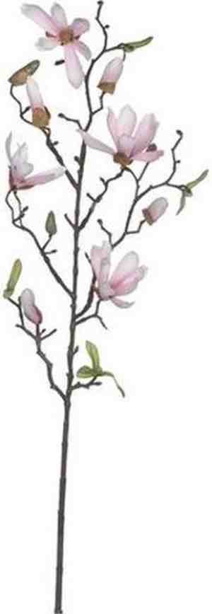 Foto: Licht roze magnoliabeverboom kunsttak kunstplant 80 cm   kunstplantenkunsttakken   kunstbloemen boeketten