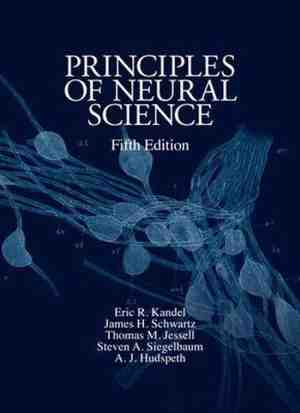 Foto: Principles of neural science fifth edition