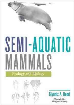 Foto: Semi aquatic mammals
