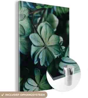 Foto: Muchowow glasschilderij groene hortensia bladeren 120x160 cm acrylglas schilderijen foto op glas