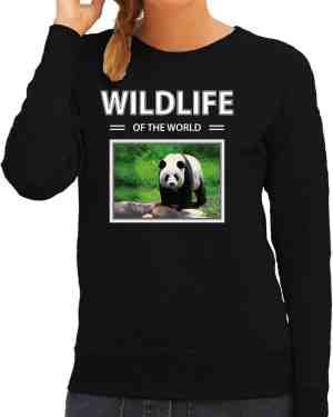 Foto: Dieren foto sweater panda zwart dames wildlife of the world cadeau trui pandas liefhebber m