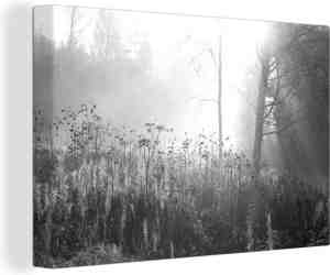 Foto: Canvas schilderij sprookjesachtig finlands landschap zwart wit 150 x 100 cm wanddecoratie