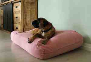 Foto: Dog s companion hondenkussen hondenbed oud roze ribcord s 70x50cm