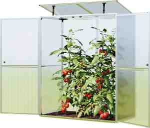 Foto: Gfp tomatenkas emma 147 x 76 x 173 cm 8 mm isolerende polycarbonaat wanden made in oostenrijk