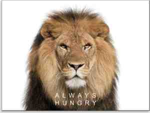 Foto: Posterguru   poster op canvas schilderij   mindset   always hungry no2   100 x 75 cm