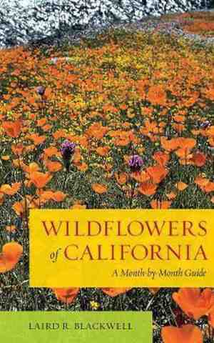 Foto: Wildflowers of california