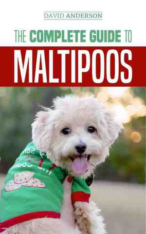 Foto: The complete guide to maltipoos