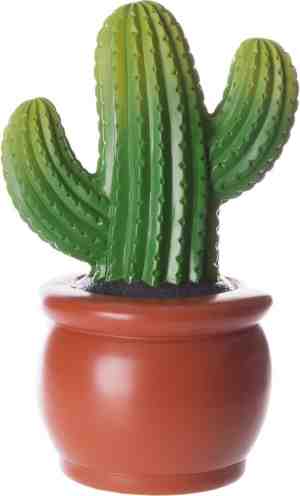 Foto: Spaarpot cactus decoratie themafeest bedankje weggeefgeschenk