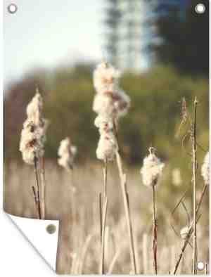 Foto: Tuinposter katoen plant gras natuur bruin 30x40 cm tuin decoratie tuin muurdecoratie wanddecoratie