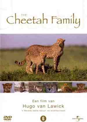 Foto: Hugo van lawick  wildlife collection   cheetah family