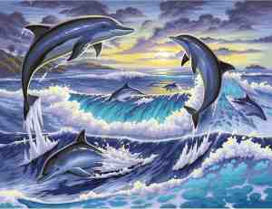 Foto: Schilderen op nummer dolfijnen