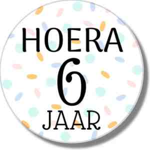 Foto: Traktatiestickers hoera 6 jaar   stickervel   cadeausticker   wensetiket   rond 40 mm   sluitsticker   20 stuks   wit pastel groen geel roze groen blauw paars confetti   sticker 6e verjaardag   kinder traktatie   basisschool kinderfeestje feest