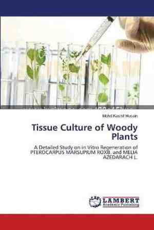 Foto: Tissue culture of woody plants