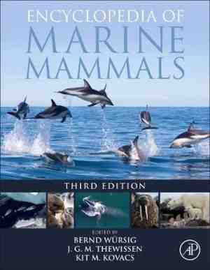 Foto: Encyclopedia of marine mammals