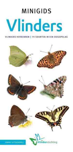 Foto: Minigids set minigids vlinders