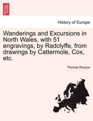 Foto: Wanderings and excursions in north wales with 51 engravings by radclyffe from drawings by cattermole cox etc 