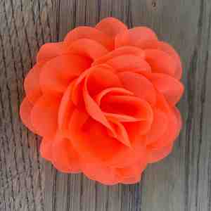 Foto: Leuke bloem roos op clip neon oranje