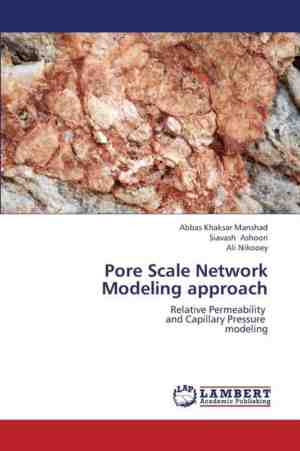 Foto: Pore scale network modeling approach