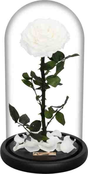 Foto: La rose single white long life roos in glazenstolp verjaardag cadeau liefde woonaccessoires decoratie
