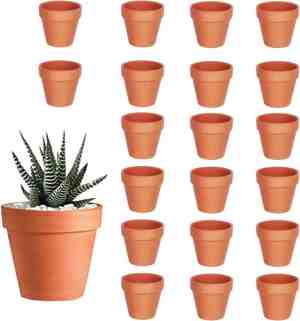 Foto: 20 stuks terracotta potten kleiplantenpotten mini bloempot met afvoergat keramische plantenpot voor planten binnen en buiten vetplanten huisplanten 35 x 3 cm