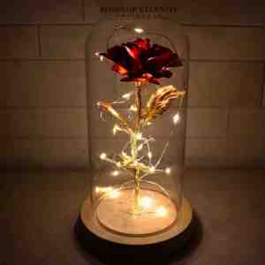 Foto: Roses of eternity   gouden roos in glazen stolp met led   cadeau voor vrouw vriendin haar   huwelijk   romantisch cadeautje   rode