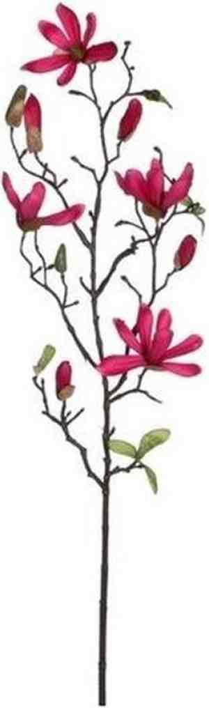 Foto: Fuchsia roze magnoliabeverboom kunsttak kunstplant 80 cm   kunstplantenkunsttakken   kunstbloemen boeketten