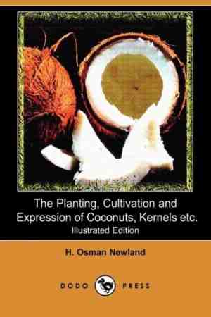 Foto: The planting cultivation and expression of coconuts kernels cacao and edible vegetable oils and seeds of commerce illustrated edition dodo press