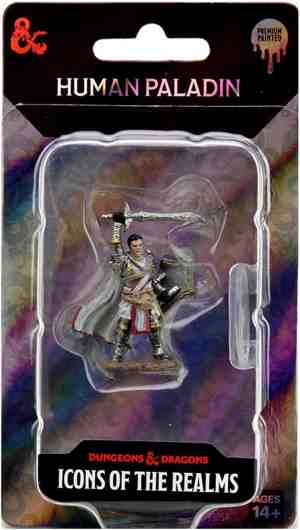 Foto: Dungeons and dragons icons of the realms male human paladin premium figure