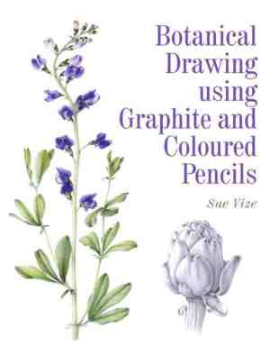 Foto: Botanical drawing using graphite and coloured pencils