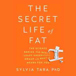 Foto: The secret life of fat