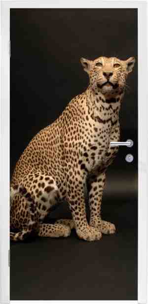 Foto: Deursticker luipaard   dieren   vlek   90x235 cm   deurposter