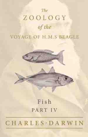 Foto: Fish   part iv   the zoology of the voyage of h m s beagle under the command of captain fitzroy   during the years 1832 to 1836