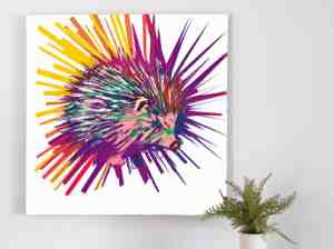Foto: Porcupine prismatic palette kunst 30x30 centimeter op dibond foto op dibond wanddecoratie