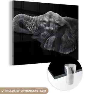 Foto: Muchowow glasschilderij olifant dieren zwart natuur 160x120 cm acrylglas schilderijen foto op glas