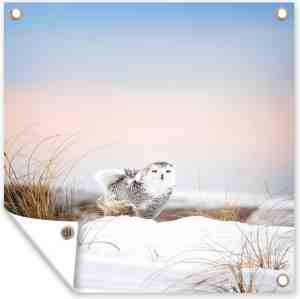 Foto: Tuin poster uil dier sneeuw duin 200x200 cm