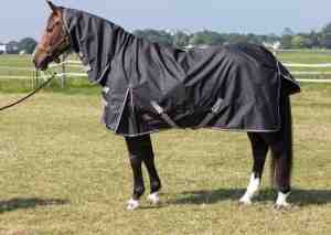 Foto: Harrys horse regendeken thor 0 gr met nek stretch limo 215 cm