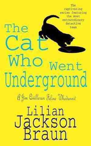 Foto: Cat who went underground