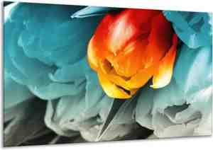 Foto: Glasschilderij tulp oranje rood blauw 120 x 70 cm 1 luik foto op glas geen acrylglas schilderij groepart 6000 glasschilderijen art collectie wanddecoratie woonkamer slaapkamer