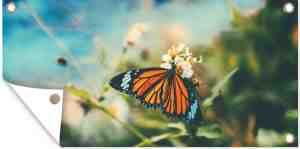 Foto: Tuinposter vlinder bloemen wit zon lente tuindoeken voor buiten 200x100 cm tuindoek