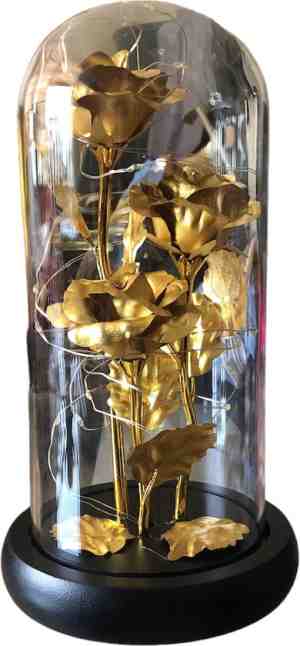 Foto: 3 gouden rozen in glazen stolp decoratie goud waardering woonaccessoires liefde verjaardag tijdloos geschenkverpakking