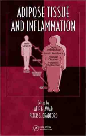 Foto: Adipose tissue and inflammation