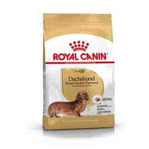 Foto: Royal canin dachshund teckel   adult   hondenbrokken   7 5 kg