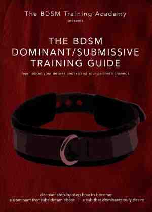 Foto: The bdsm dominant submissive training guide