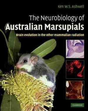 Foto: Neurobiology of australian marsupials