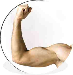 Foto: Wallcircle   wandcirkel   muurcirkel   man die zijn biceps brachii toont   aluminium   dibond   60x60 cm   binnen en buiten