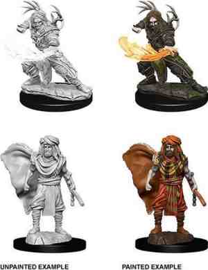 Foto: Dungeons and dragons  nolzurs marvelous miniatures   male human druid