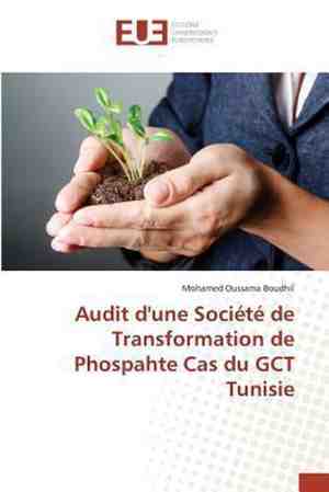 Foto: Omn univ europ audit dune soci t de transformation de phospahte cas du gct tunisie