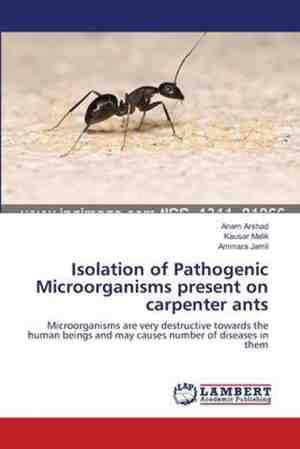 Foto: Isolation of pathogenic microorganisms present on carpenter ants